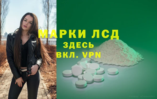 спиды Михайловск