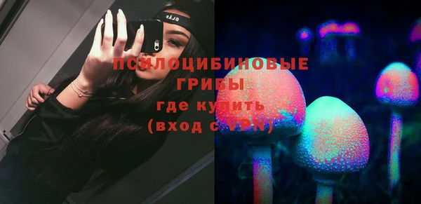 спиды Михайловск
