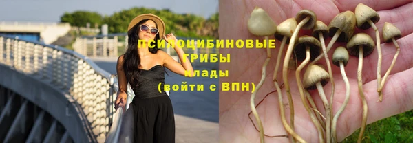 гашик Михайлов