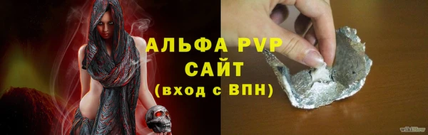 гашик Михайлов