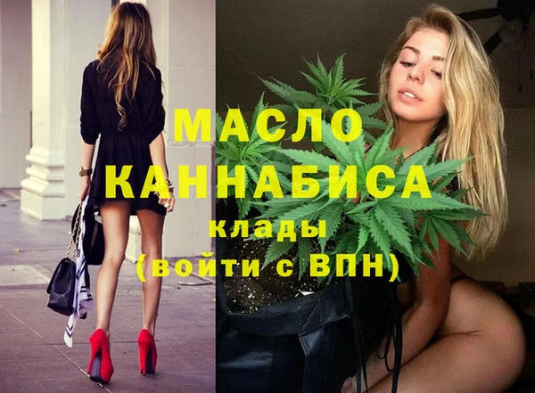 гашик Михайлов