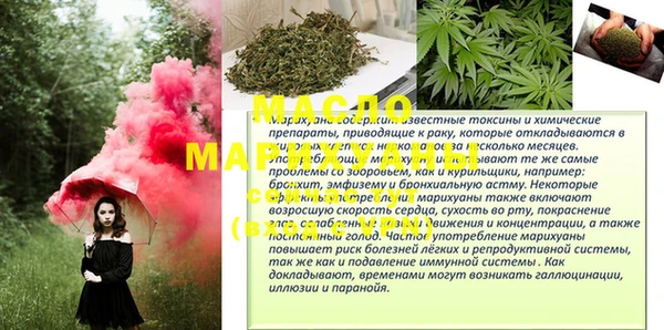 гашик Михайлов