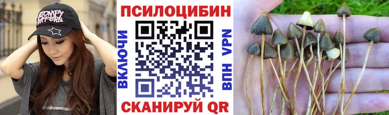 Псилоцибиновые грибы GOLDEN TEACHER  Тейково 