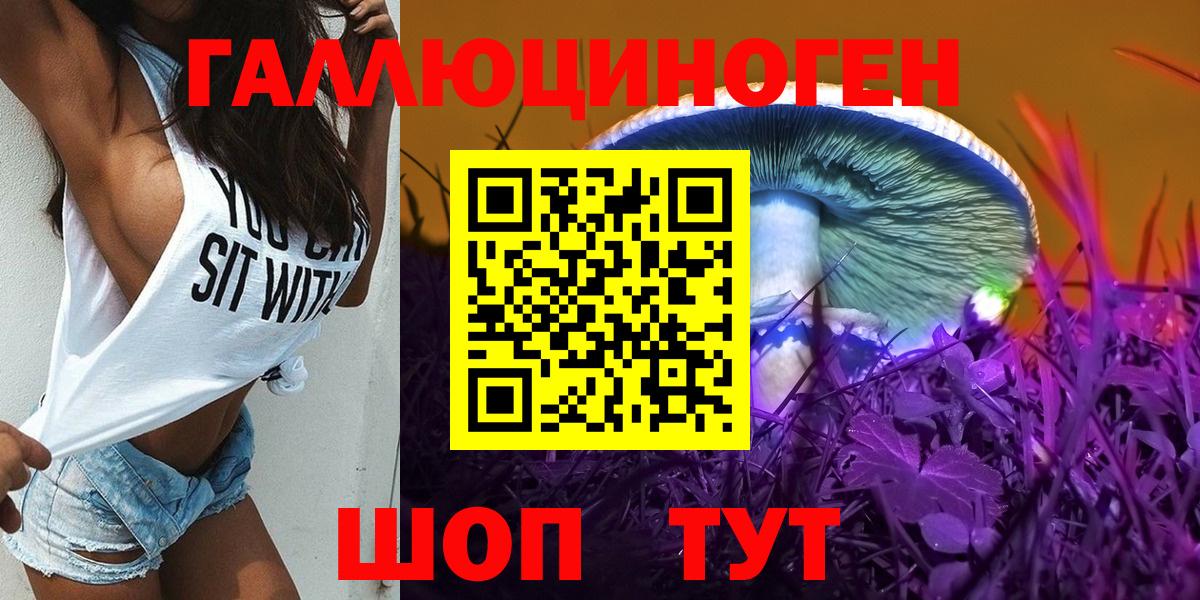 Псилоцибиновые грибы Psilocybe Тейково