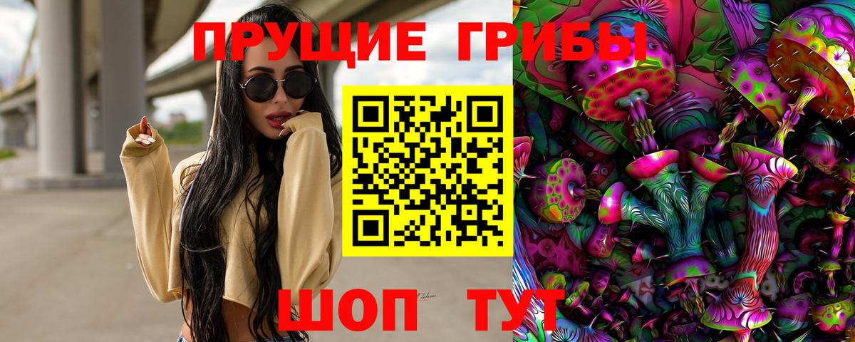 Псилоцибиновые грибы GOLDEN TEACHER  Галлюциногенные грибы Psilocybine cubensis  Тейково 