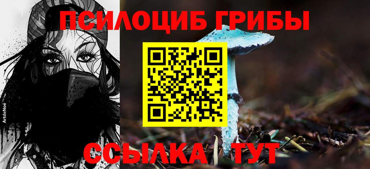 Тейково  Галлюциногенные грибы GOLDEN TEACHER  Вход с VPN 